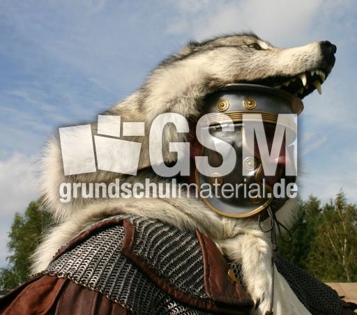 Römer-Legionär.jpg